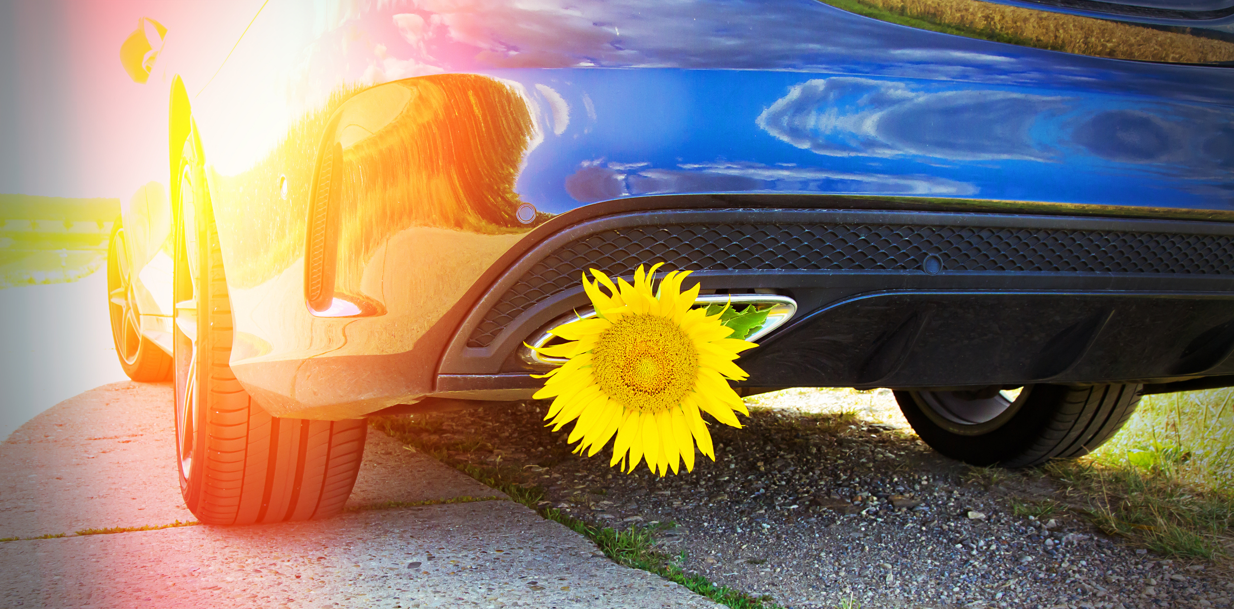 Verwendung von Biodiesel als Treibstoff
