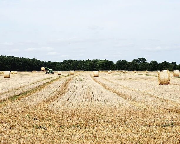 Abgeerntetes Getreidefeld mit Strohballen und einem Traktor