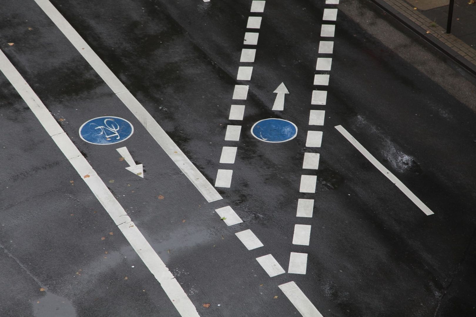Markierter Radfahrstreifen mit Richtungspfeilen auf nasser Stadtstraße